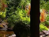 Parkside Alta Cebu Resort